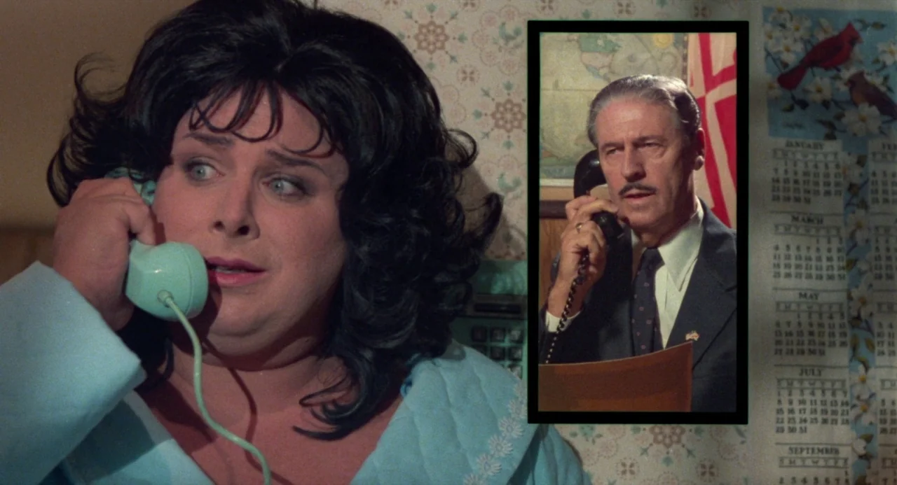 Polyester (1981) movie still: medium — A woman in a blue robe stands before floral wallpaper while holding a telephone. A framed inset image of a…