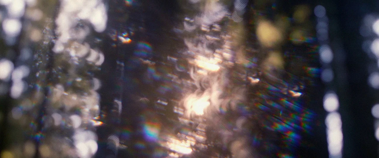 Woodshock (2017) movie still: establishing — A dense patch of trees is visible through an extreme shallow focus lens effect. Light sources create…