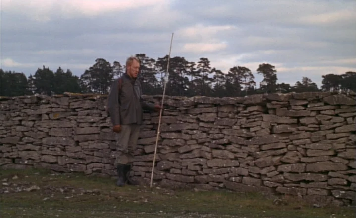 The Passion of Anna (1969) movie still: fullbody — A man stands beside a long horizontal dry stone wall in a grassy field. A line of pine trees sits…