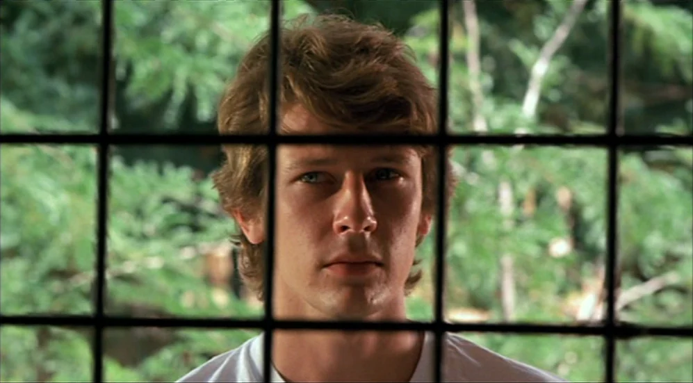 Roselyne and the Lions (1989) movie still: closeup — A man stands behind a dark, geometric grid of a window pane. The background is a soft-focus…