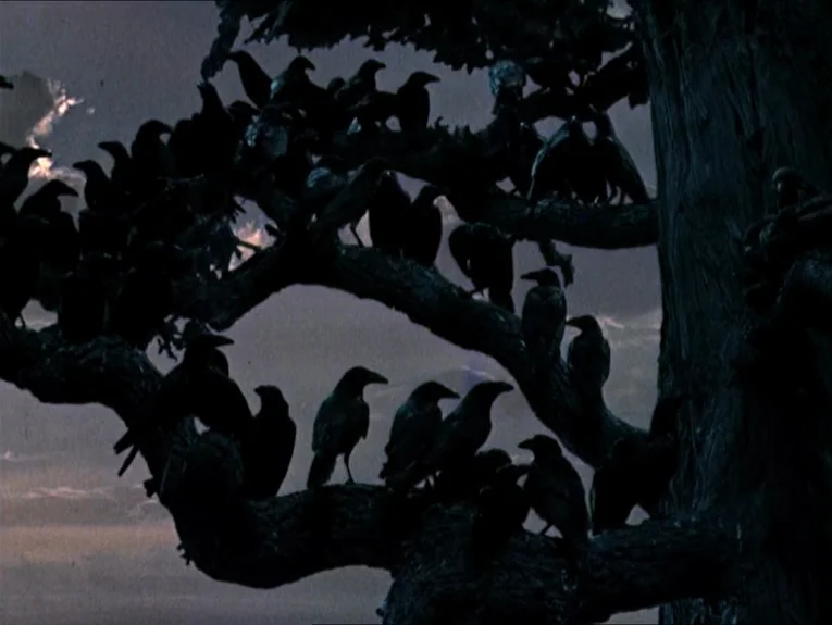 The Birds movie still: medium — A dark, textured tree trunk and branches are filled with dozens of birds. The animals sit silently against a dim,…