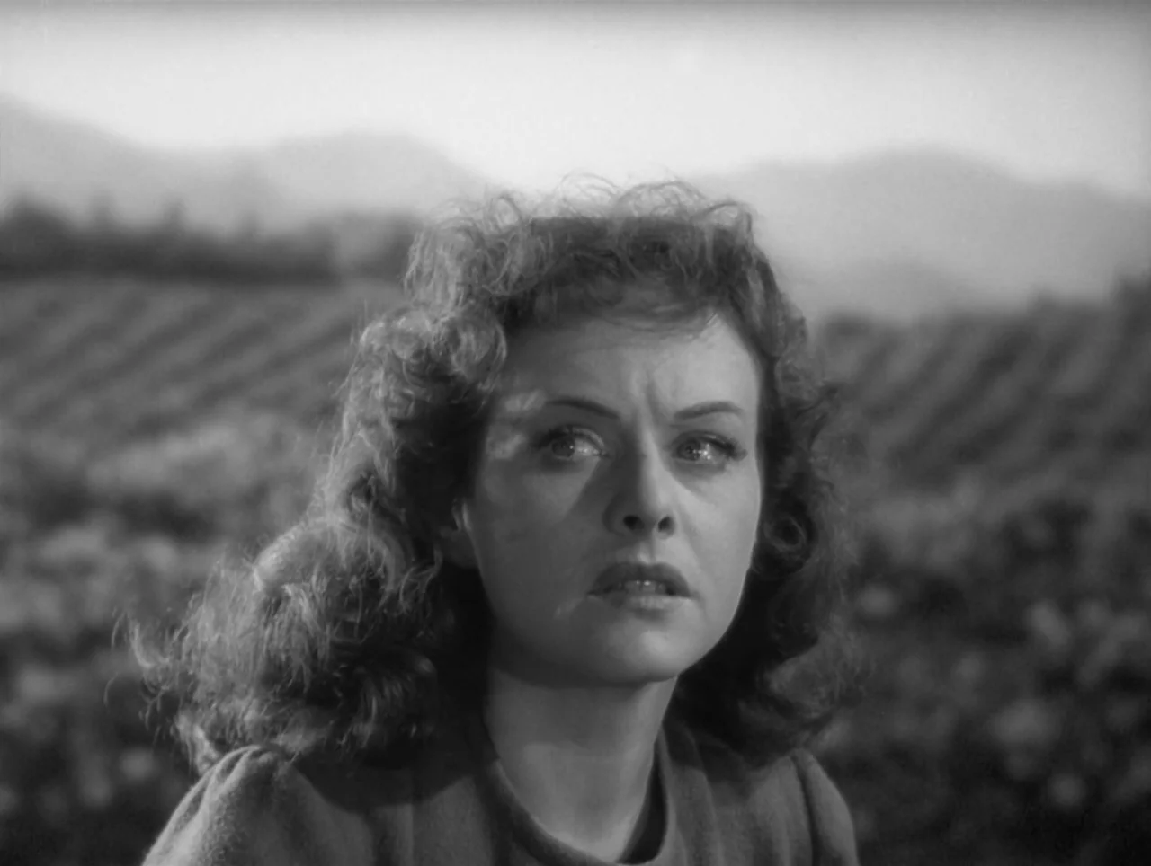 The Great Dictator (1940) movie still: closeup — A field with rows of grapevines stretches toward distant rolling hills in the background. A woman…
