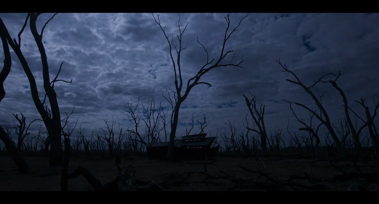 True History of the Kelly Gang (2019) movie still: wide — A dark, expansive forest of dead, leafless trees stands under a heavy cloud cover. An…