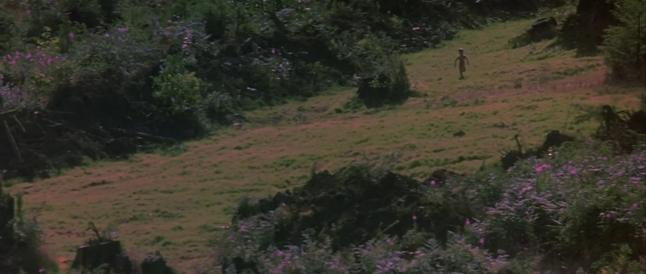 The 13th Warrior (1999) movie still: wide — A grassy meadow slopes downward, surrounded by mounds of dark earth and purple wildflowers. A small…