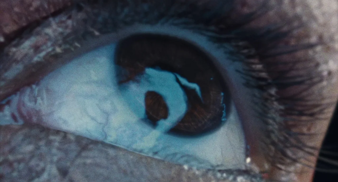 Martyrs (2008) movie still: closeup — An extreme closeup captures the anatomy of a human eye in a dark space. A bright light source is reflected…