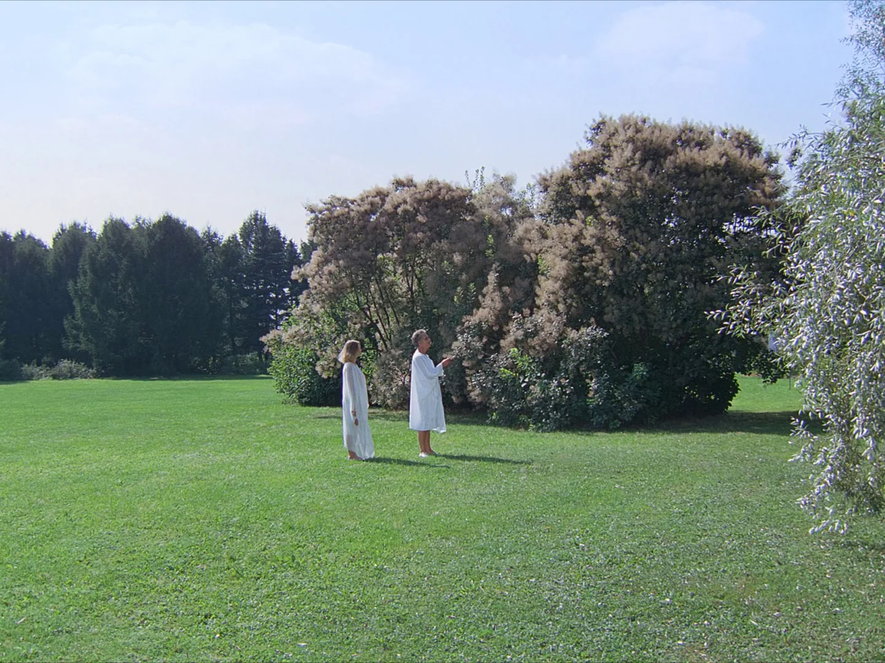 Kin-dza-dza! (1986) movie still: wide — A wide, open green field is bordered by dense trees and a large bush. Two individuals in white tunics stand…