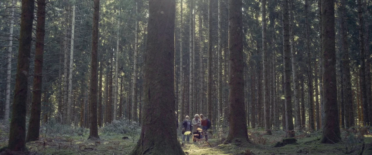 Meanwhile On Earth (2024) movie still: wide — A dense coniferous forest filled with tall, evenly spaced pine trees. Three women stand in a small…