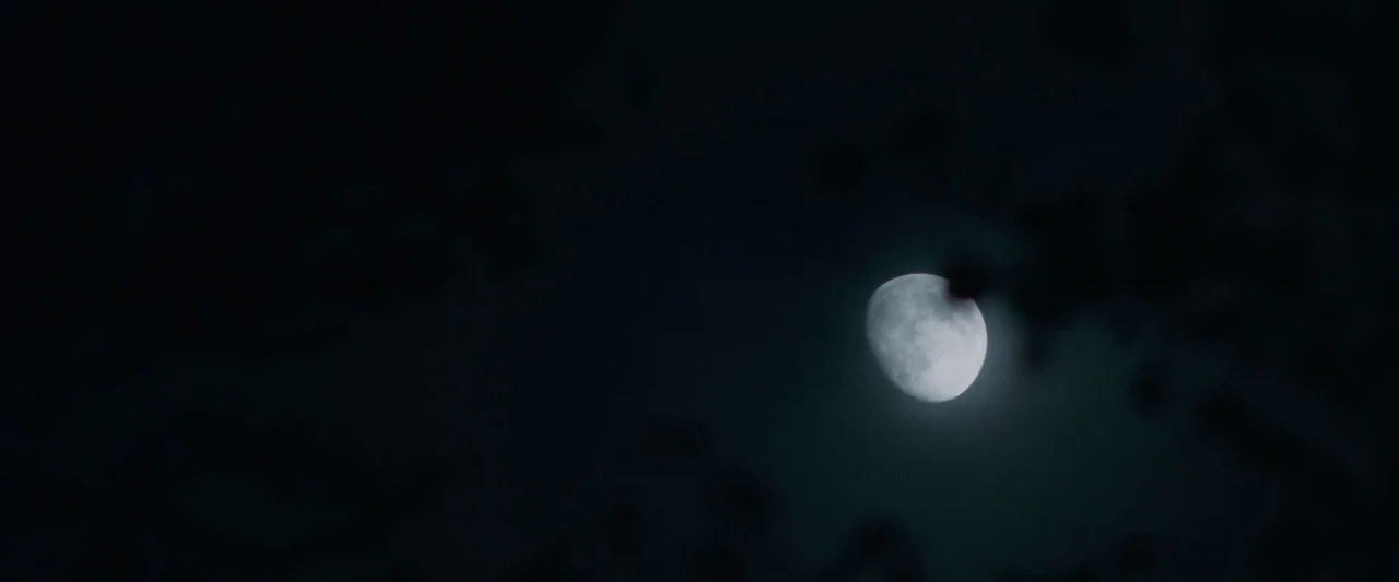 Oddity (2024) movie still: establishing — A night sky displays a nearly full moon amidst dark silhouettes of tree leaves. The lunar surface features…