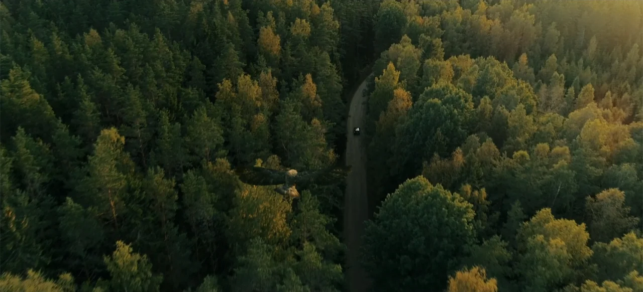 My Best Friend's Exorcism (2022) movie still: establishing — A dense coniferous forest is bisected by a narrow, winding dirt road from above. An…