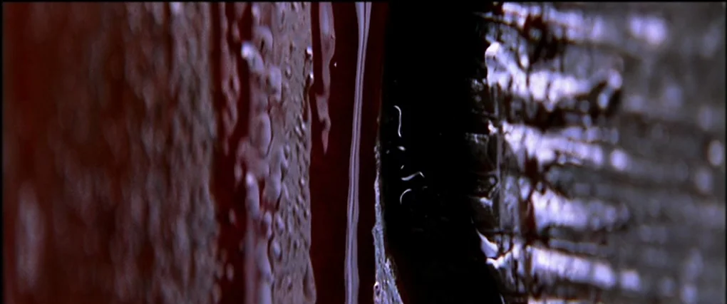Memento (2000) movie still: closeup — Close-up view of textured, wet red surface beside a dark metallic gap. Liquid tracks run vertically down the…