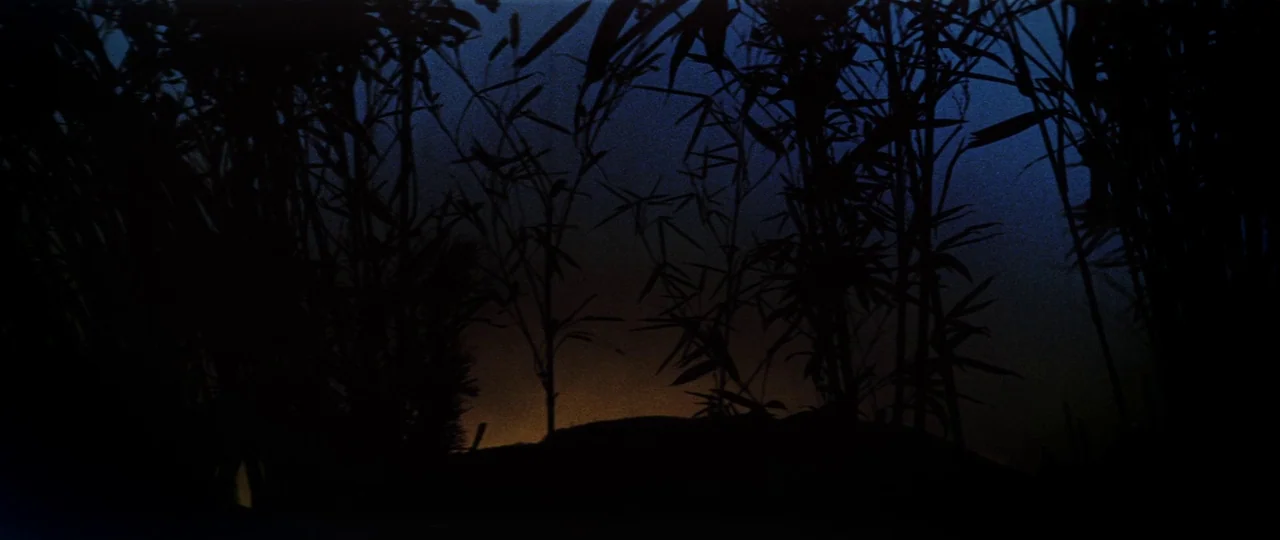 Lady Snowblood (1973) movie still: establishing — Dark silhouettes of tall, thin bamboo stalks occupy the foreground against a night sky. A distant…