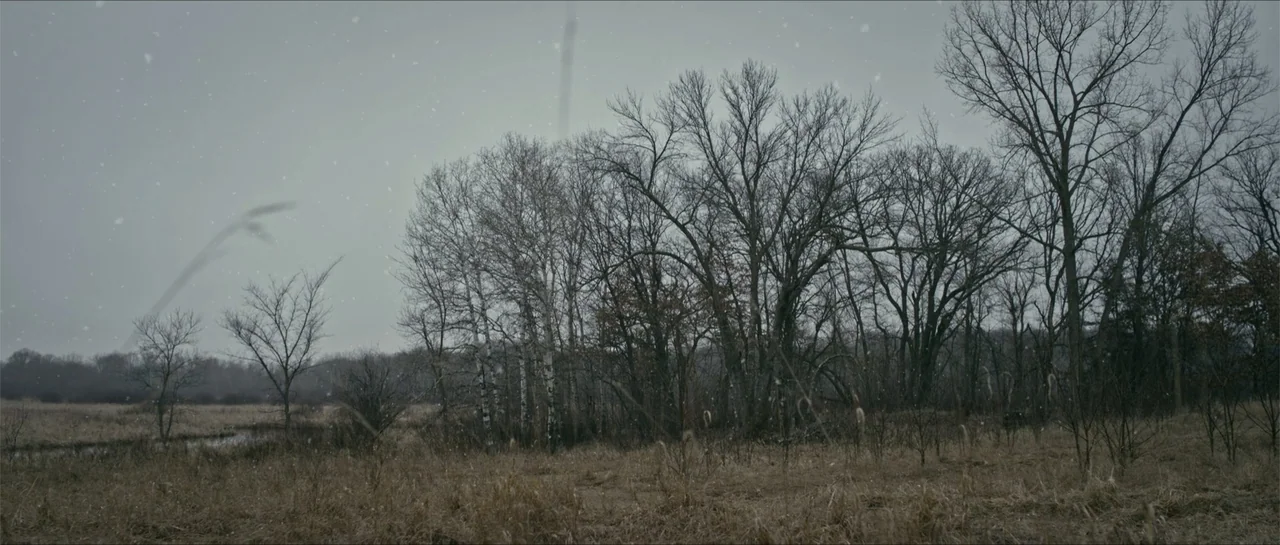 Battle of the Bulge (1965) movie still: wide — A field of dry, withered grass sits before a dense cluster of bare trees. Light snow falls against a…