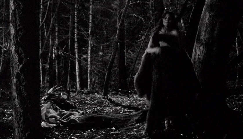 Dead Man (1995) movie still: fullbody — A dense patch of dark woods at night with textured bark and leaves. A woman stands upright, holding a large…