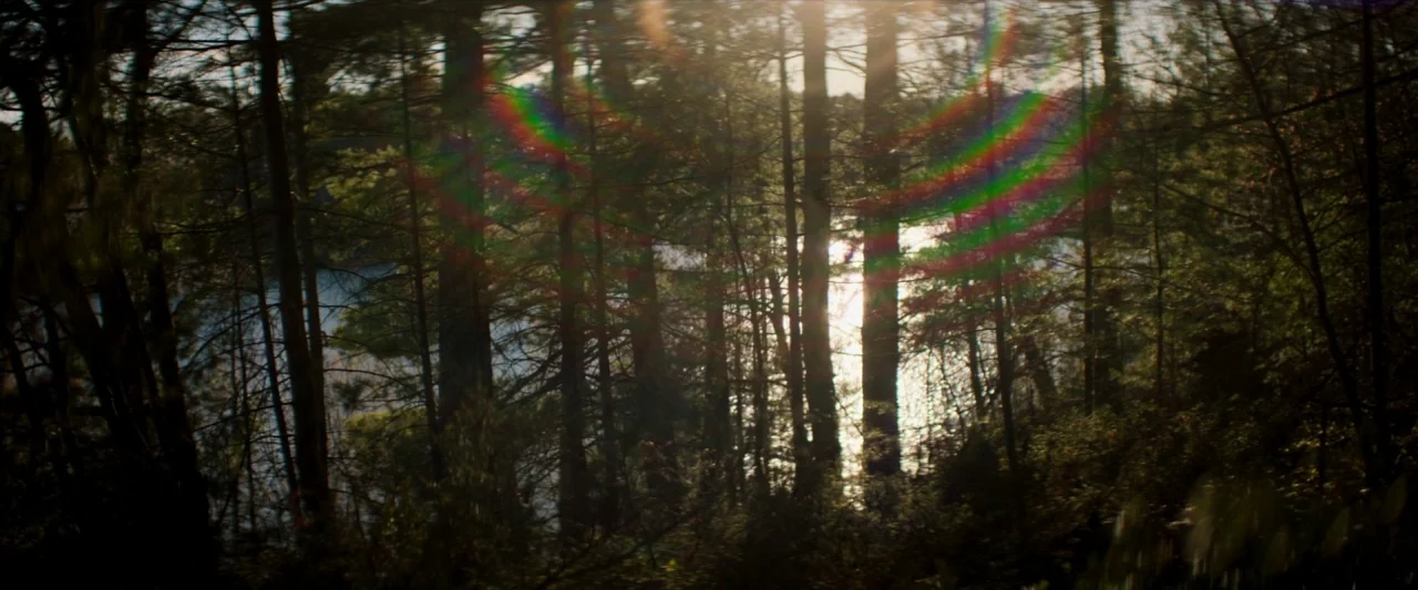The Silencing (2020) movie still: establishing — A dense forest with tall pine trees borders a lake during the daytime. The sun shines from behind…