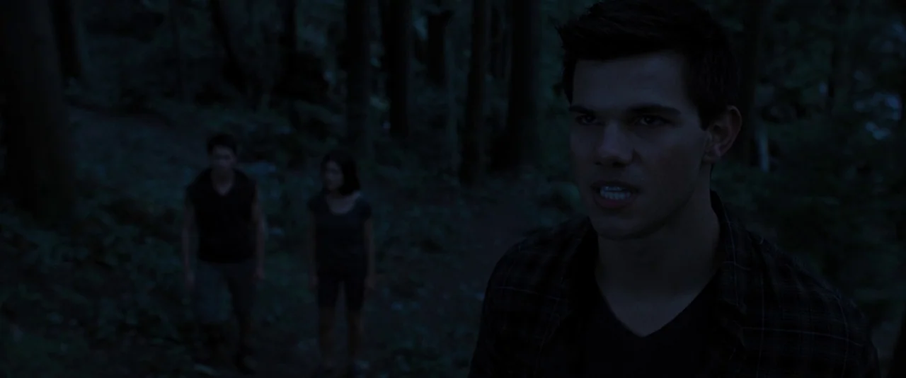 The Twilight Saga: Breaking Dawn – Part 1 (2011) movie still: medium — A dark, densely wooded area at night provides a shadowy backdrop for three…