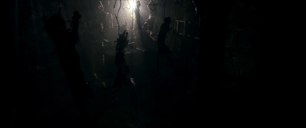 Evil Dead (2013) movie still: wide — A dark, windowless room contains several animal carcasses suspended from chains and metal hooks. The space is…