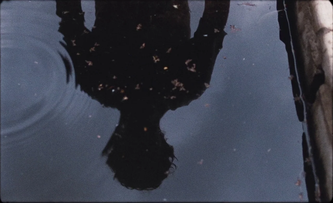 Happy as Lazzaro (2018) movie still: closeup — A dark, still puddle reflects the silhouette of a person standing above it. Scattered small brown…