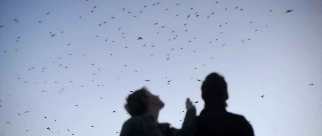 Upstream Color (2013) movie still: medium — An open field at dusk with a large flock of birds flying overhead. Two people stand in the foreground as…