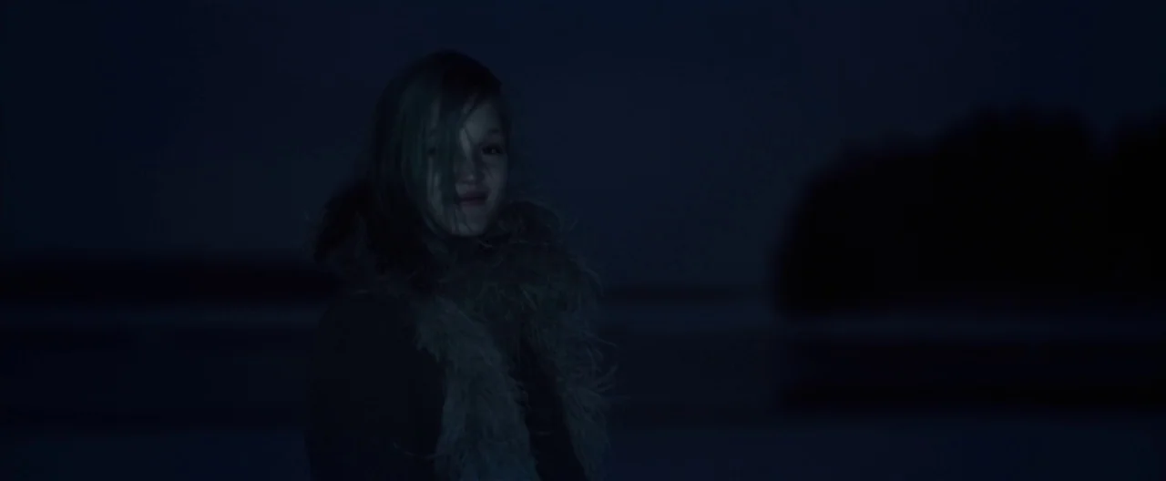 Hanna (2011) movie still: medium — A person stands at night near a dark, open body of water. The subject is wearing a coat with a fuzzy collar…