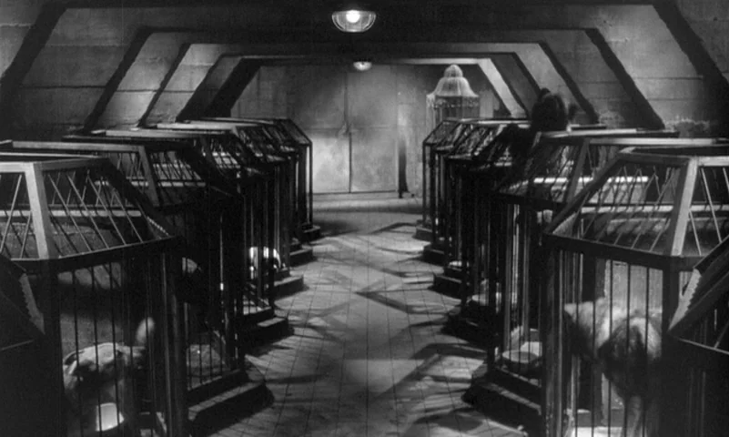 Eyes Without A Face (1960) movie still: establishing — A rows of metal animal cages line a dimly lit, industrial tiled hallway. Overhead lights…