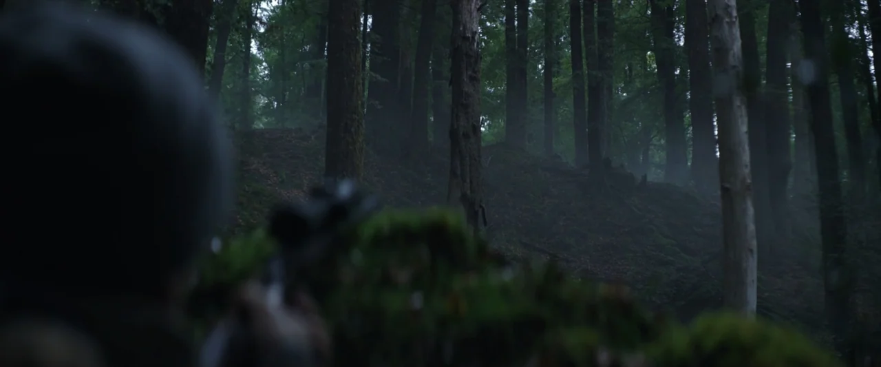 Wolf Man (2025) movie still: medium — A dense, misty temperate woodland features tall trees on a slight slope. An out-of-focus subject in the…