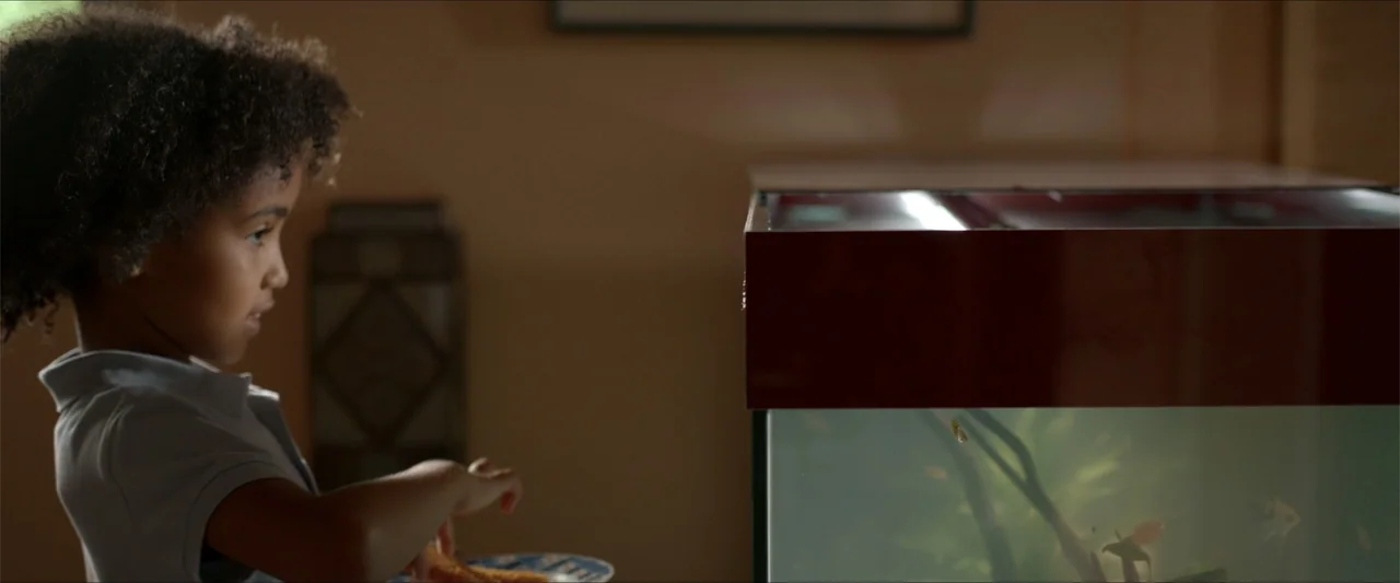 An Endless Wedding (2025) movie still: medium — A dimly lit room contains a large glass aquarium with a red top canopy. A young boy with curly hair…