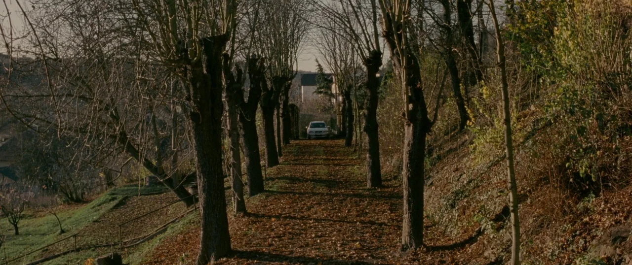 Personal Shopper (2016) movie still: wide — A tree-lined dirt path covered in fallen autumn leaves leads towards a distant car. The slope on the…