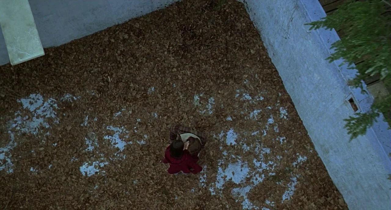 The Ice Storm (1997) movie still: wide — An enclosed backyard is covered with a thick layer of scattered brown autumn leaves. A pair of people…