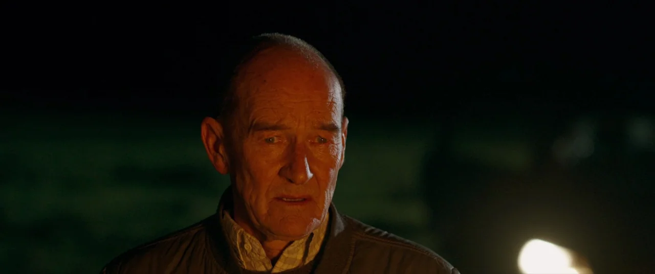 Bull (2021) movie still: closeup — An elderly man stands in a dark outdoor field at night. Warm light illuminates his face from the side.
