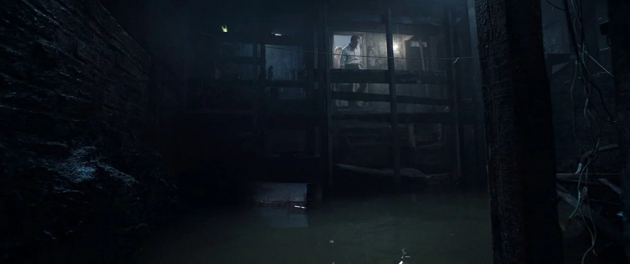 The Conjuring 2 (2016) movie still: wide — A dark, flooded space features a raised wooden walkway and brick retaining walls. A man and woman stand…