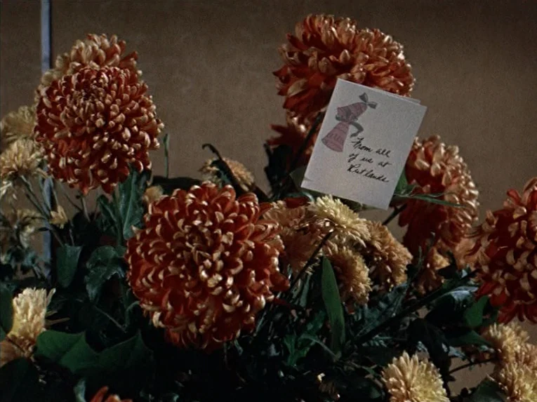 Marnie (1964) movie still: closeup — A dense arrangement of rust-colored chrysanthemums is displayed against a plain brown wall. A small white card…
