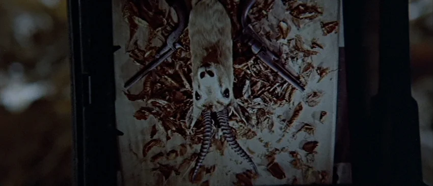 Images (1972) movie still: closeup — A wooden tabletop displays a taxidermy gazelle head and two antique revolvers. Wood shavings are scattered…
