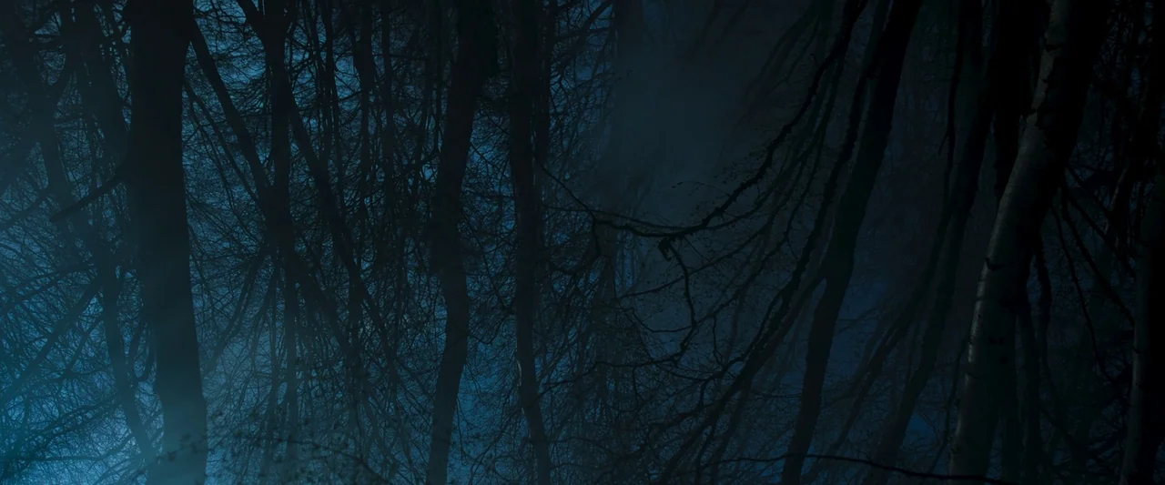 Stopmotion (2024) movie still: establishing — A dense forest at night is filled with thick, low-hanging blue-toned fog. Leafless tree branches…