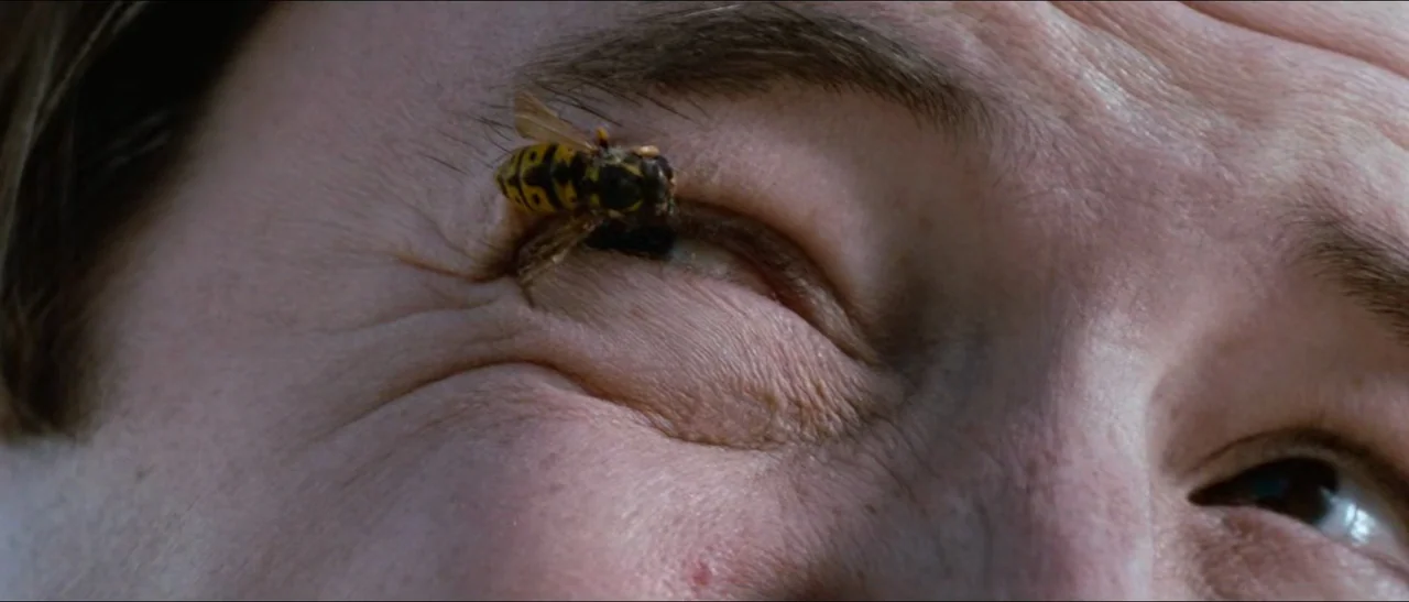 Election (1999) movie still: closeup — A close view of a person's eye area with pale, textured skin. A yellow and black striped wasp is perched…