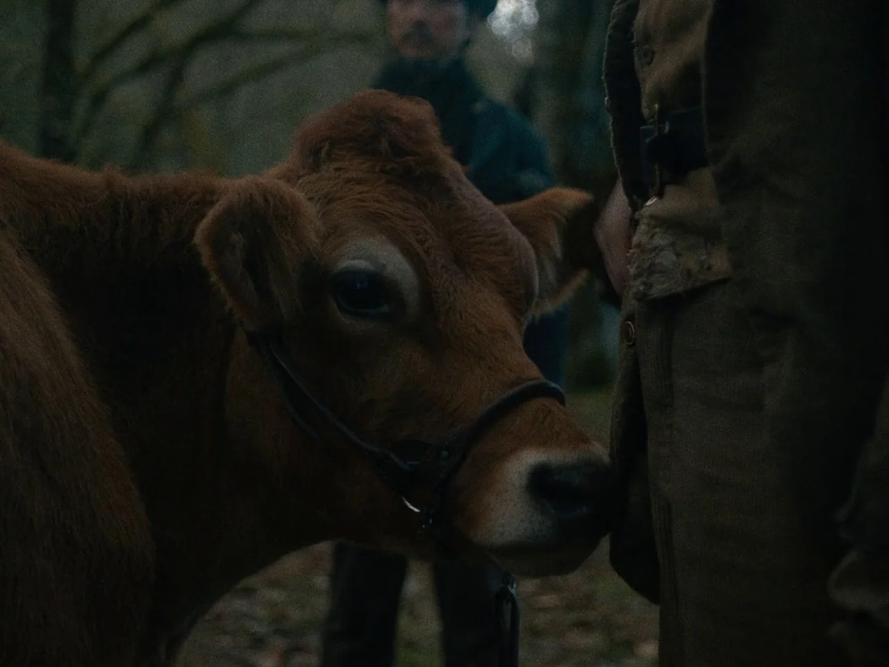 First Cow (2019) movie still: medium — A field in the woods with bare branches in the overcast background. A man stands behind a brown cow that is…