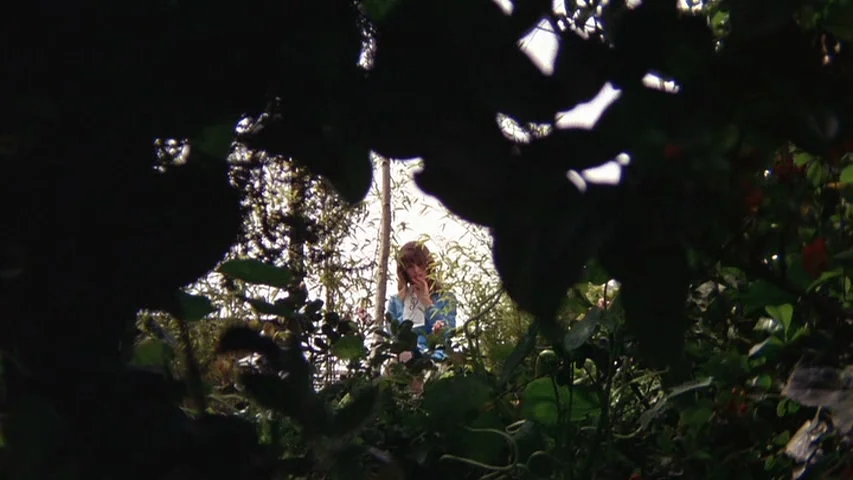 Petulia (1968) movie still: wide — A woman stands in a gap surrounded by dark, dense foreground foliage and plants. The woman in a blue shirt is…