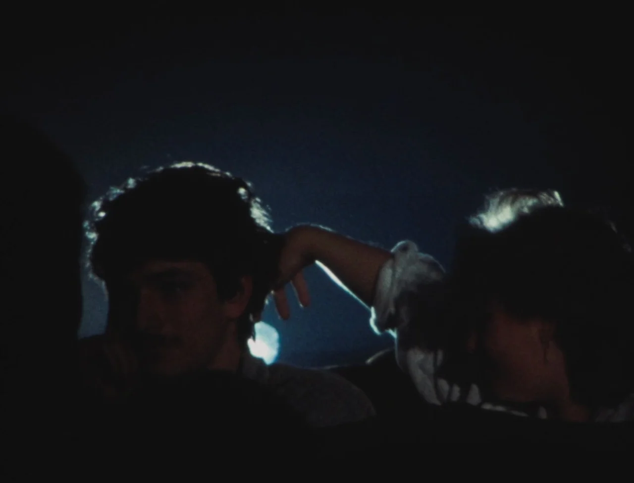 Nekromantik (1988) movie still: medium — A dark night landscape provides a backdrop for two people in silhouette. A woman reaches toward the man's…