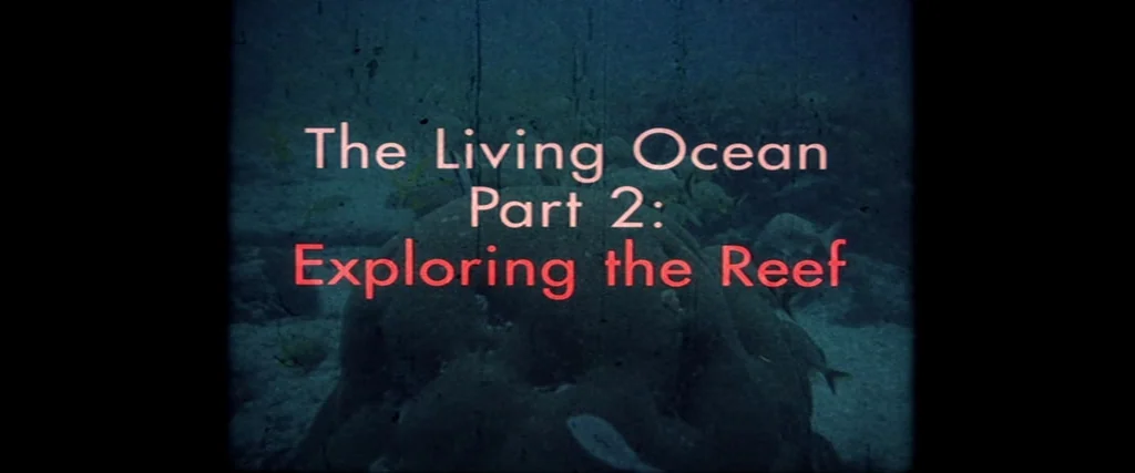 Rushmore (1998) movie still: establishing — An underwater shot shows a large coral structure beneath the surface of the sea. Large sans-serif text…