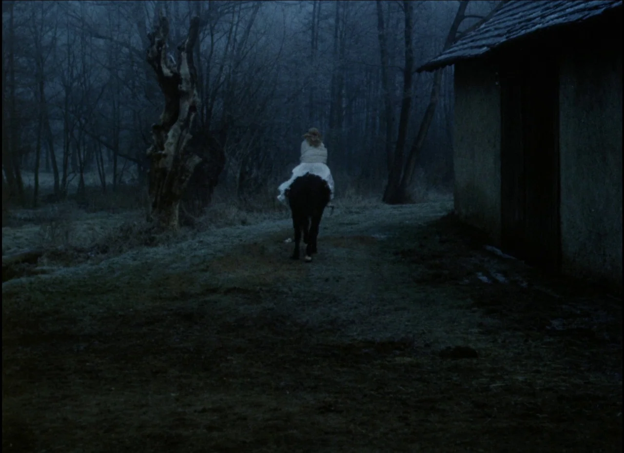 Beauty and the Beast (1979) movie still: wide — A dark, frost-covered farmyard features a small shed and a gnarled dead tree. A person in a white…