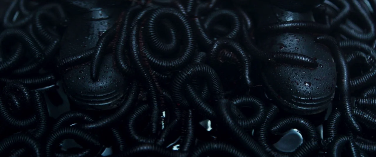 Mandy (2018) movie still: closeup — A mass of dark, glistening worms covers the ground around a pair of boots. The wet leather shoes are surrounded…
