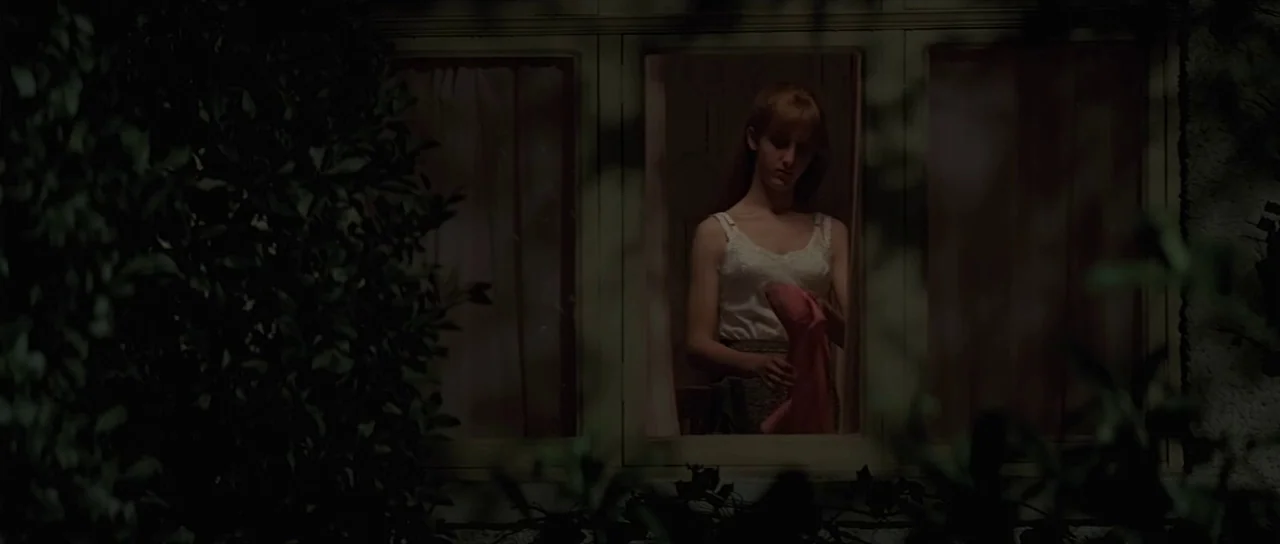Pink Floyd The Wall (1982) movie still: medium — A dark, exterior nighttime view focuses on a woman standing inside a house window. The woman holds…