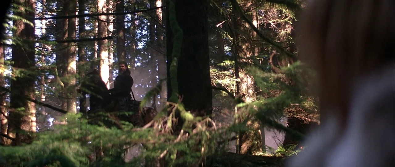 The 13th Warrior (1999) movie still: wide — A dense coniferous forest contains tall pine trees and mossy ground under dappled sunlight. A bearded…