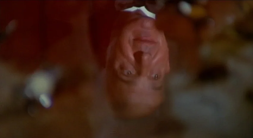 Lisa and The Devil (1973) movie still: closeup — An interior space is shown in an inverted perspective with limited environmental details visible.…