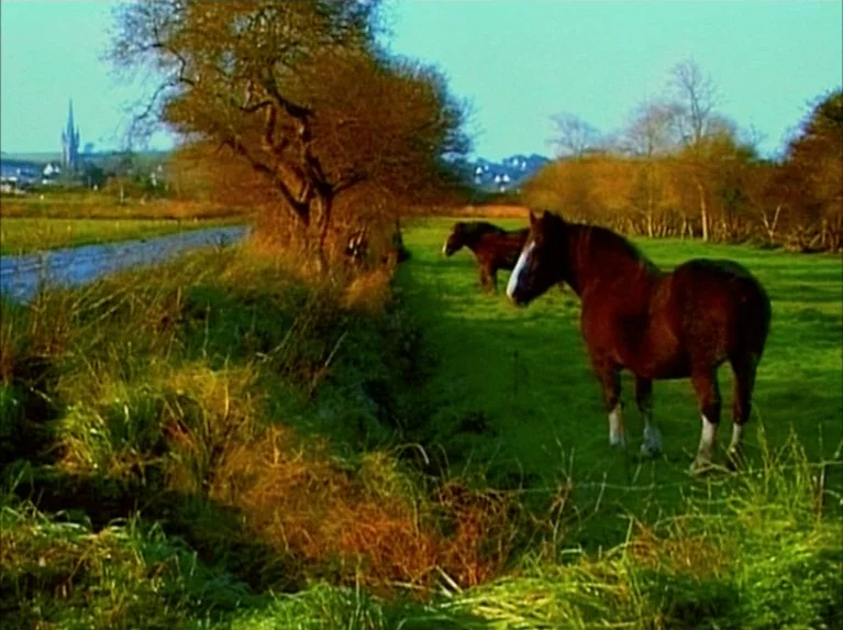 Eloge de L’amour (2001) movie still: wide — A green field at golden hour contains two brown horses near a drainage ditch. A small village with a…