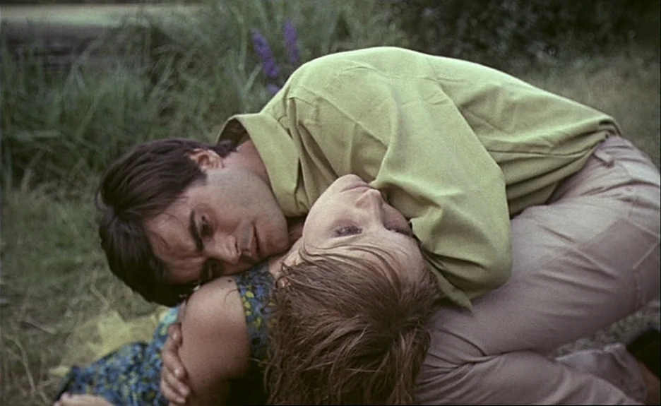 Le Bonheur (Happiness) (1965) movie still: medium — A man and woman lie intertwined together in an outdoor field of tall grass. The man presses his…