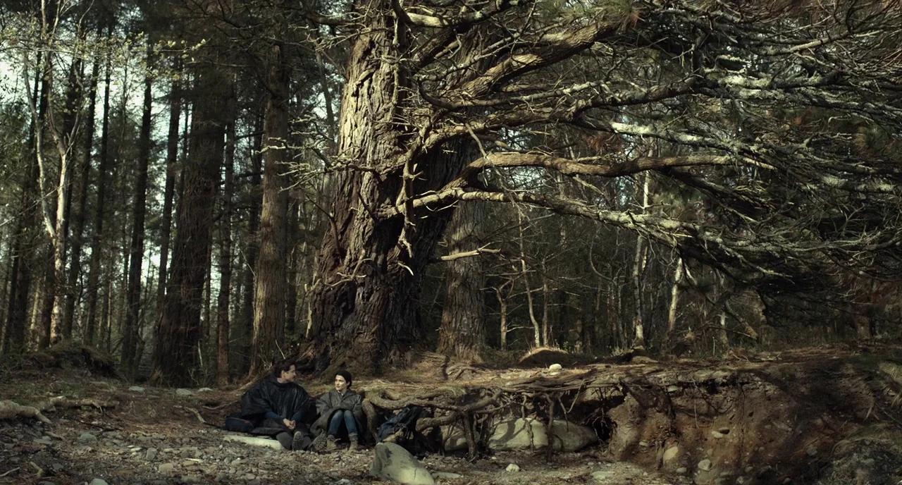 The Lobster (2015) movie still: wide — A dense woodland area features a massive, ancient tree with sprawling, exposed surface roots. Two people rest…