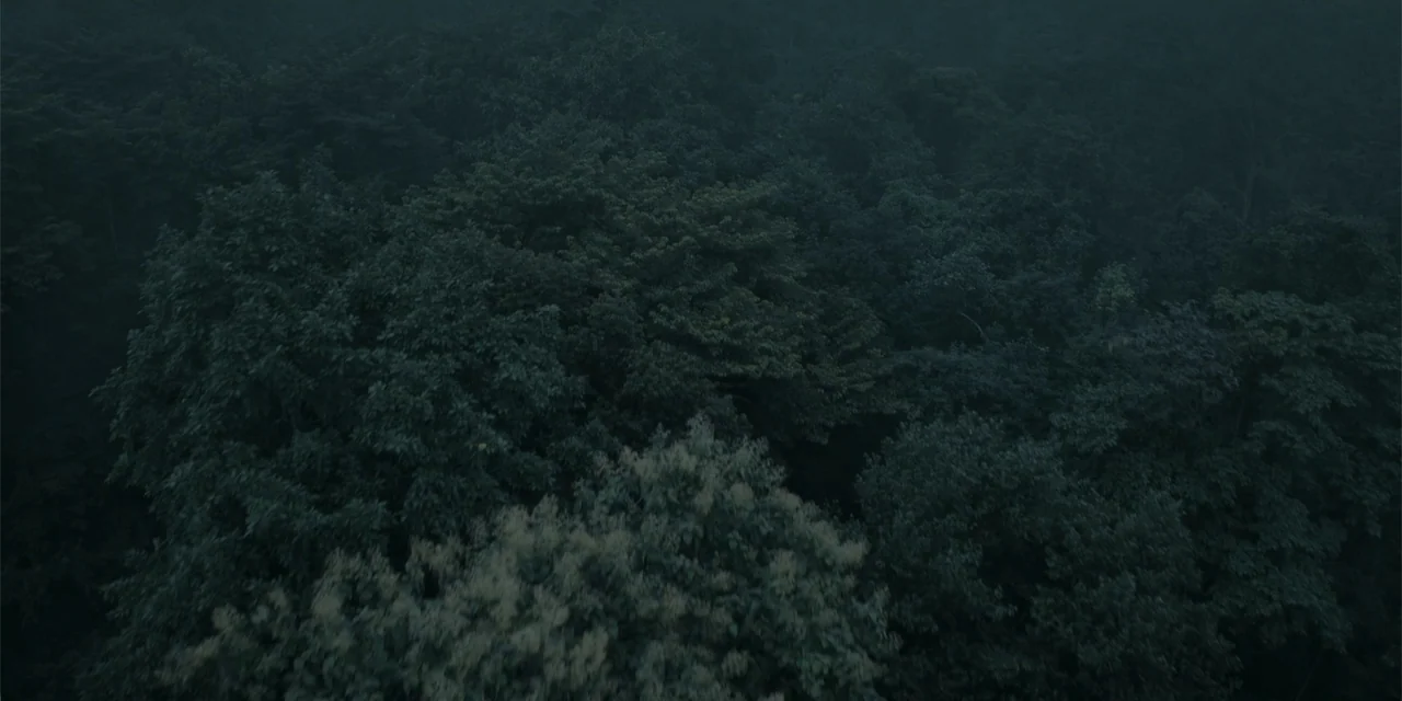 Host (2020) movie still: establishing — A dense aerial view looks down over a thick, dark green tropical jungle canopy. The layered leaves of…