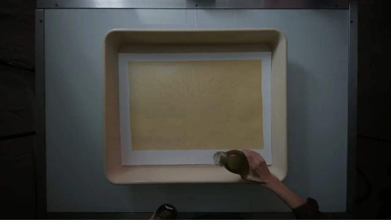 Trees and Other Entanglements (2023) movie still: medium — A plastic developing tray rests on a flat surface, containing a single sheet of paper…