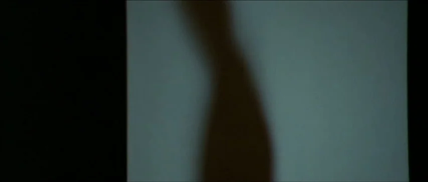 Four Flies On Grey Velvet (1971) movie still: closeup — A blurry, dark vertical silhouette is cast against a plain, light-toned flat surface. The…