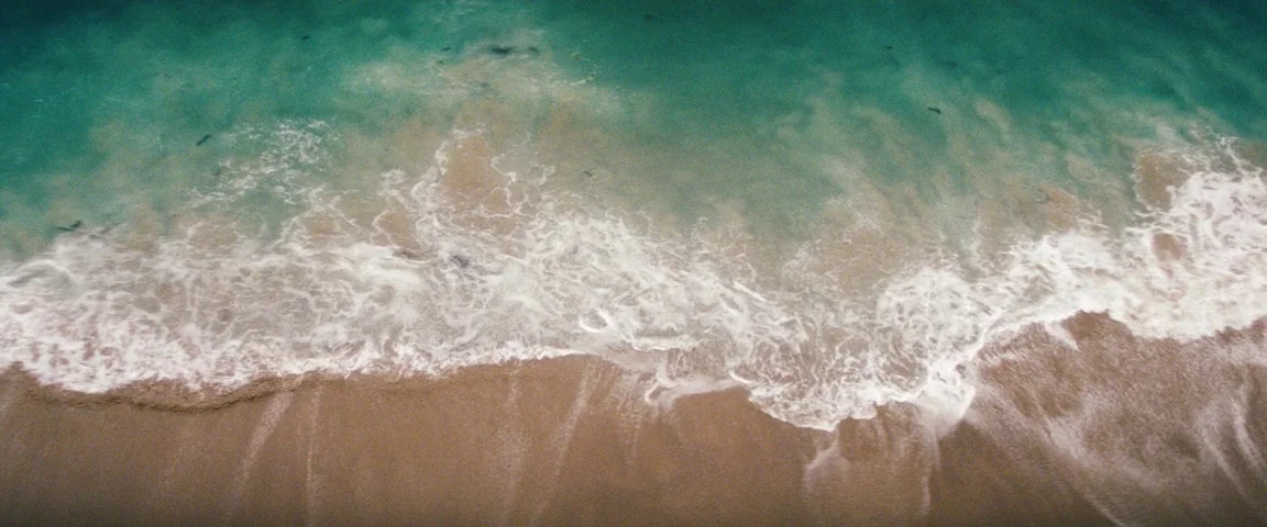 Savages (2012) movie still: establishing — A top-down view of a sandy shoreline meeting the turquoise ocean water. White foam from incoming waves…